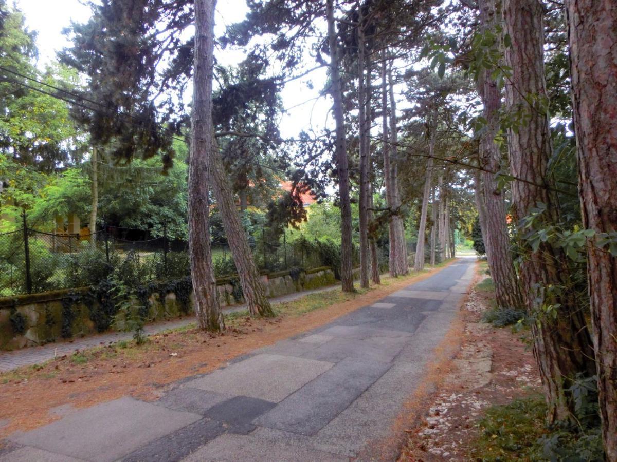 Pilis Apartman Piliscsaba Εξωτερικό φωτογραφία